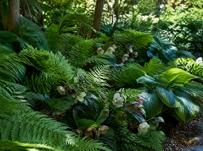 Designing a Shade Border That Doesn't Look Sad